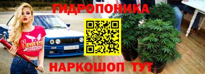 соль ск Кизляр