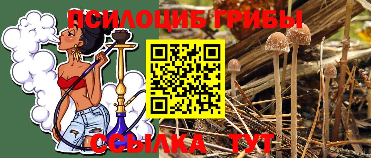 Большой Камень  Галлюциногенные грибы Magic Shrooms  Галлюциногенные грибы GOLDEN TEACHER  Вход с VPN 