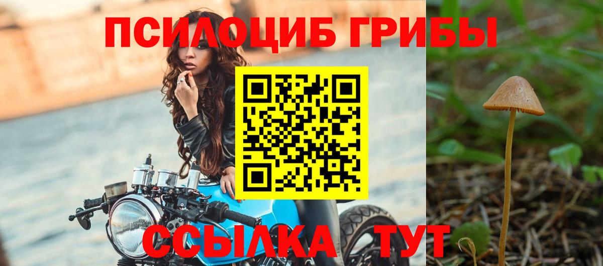 Псилоцибиновые грибы MAGIC MUSHROOMS Большой Камень